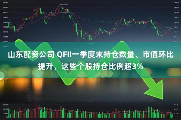 山东配资公司 QFII一季度末持仓数量、市值环比提升，这些个股持仓比例超3%