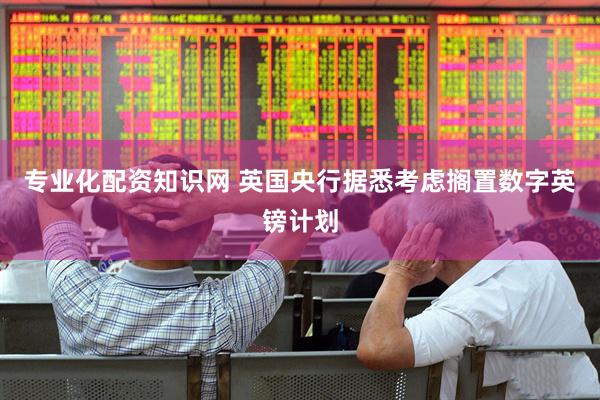 专业化配资知识网 英国央行据悉考虑搁置数字英镑计划
